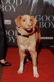 Ảnh diễn viên Indy